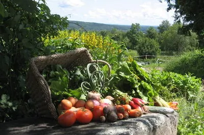 Le Potager d’Émylou