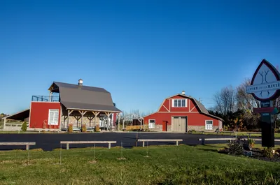 Vignoble Le Fief de la rivière