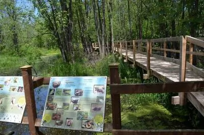 Centre d’interprétation du Ruisseau McFee