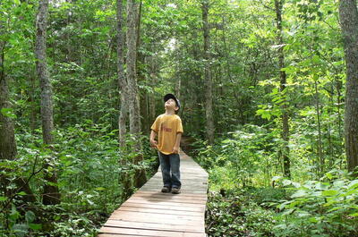 Forêt Piché-Lemoine