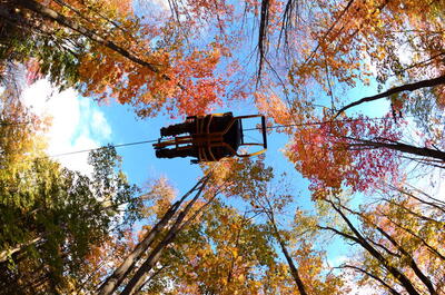 Canopy Cycle VéloVolant