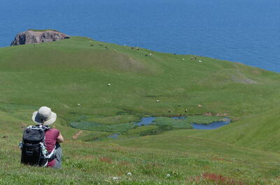 Sentiers entre Vents et Marées