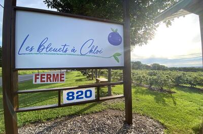Au Coin du Bleuet – Bernières