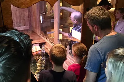 Monsieur Reptile Zoo