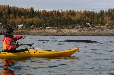 Aventure Écotourisme Québec