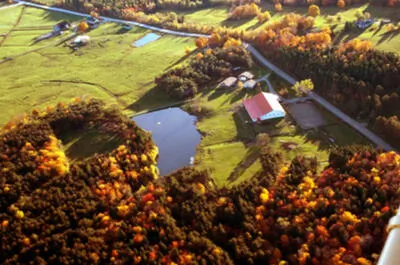 CAMP GRISON