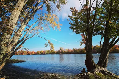 CAMPING DES BOIS FRANCS