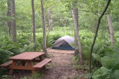 CAMPING DE L’ÎLE SAINT-QUENTIN