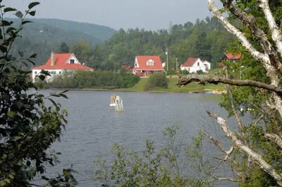 CAMP KINKORA