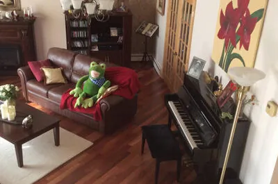 AU SAUTE GRENOUILLE