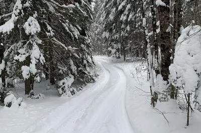 ÉVOLUTION NATURE