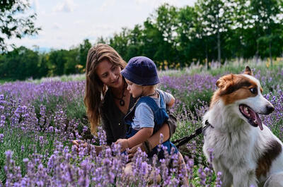 Eastern Townships