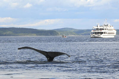 Things to do in Charlevoix (activities, services, accommodations)