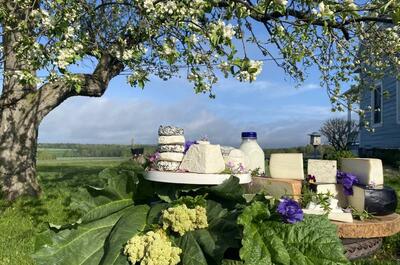 Ferme et fromagerie La Maison Grise