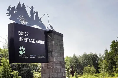 Boisé Héritage faune