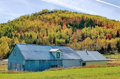 Ferme Ambrosia