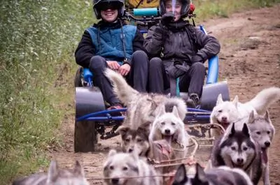 Kinadapt – Cani-kart