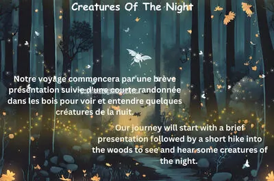 Creatures of the night