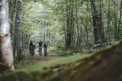 Mont-Tremblant / Vélo de montagne