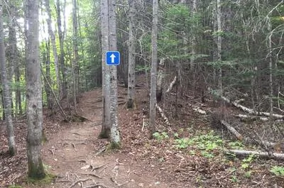 Parc régional du Mont-Saint-Joseph – secteur Maria