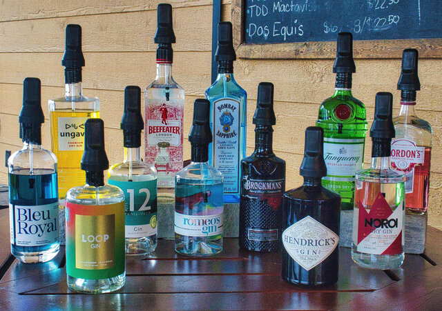 Gins&nbsp;&nbsp;&nbsp;&copy; La Source à bord