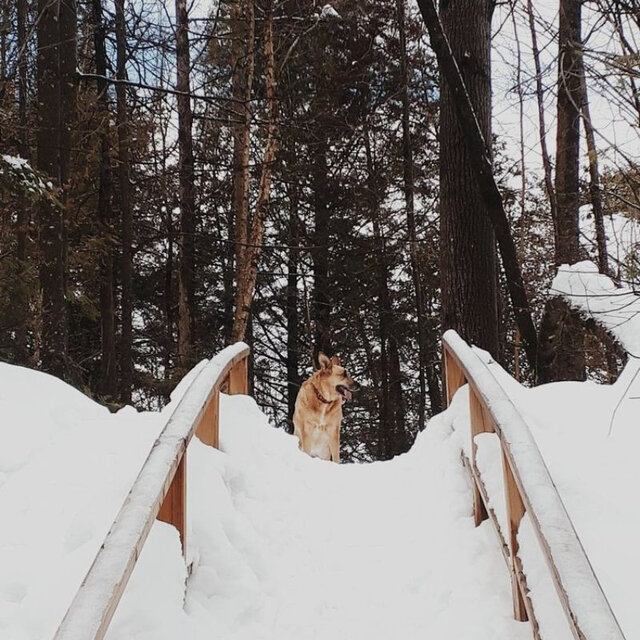 Parcs en hiver - tourismemrcjoliette_hiver_parc_du_bois_brule&nbsp;&nbsp;&nbsp;&copy; Joliette