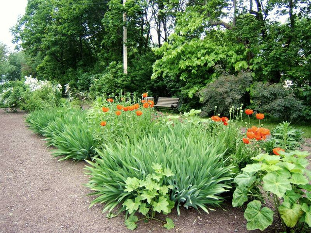 Les jardins oubliés&nbsp;&nbsp;&nbsp;&copy; C.Garon