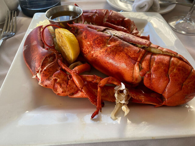 Homard&nbsp;&nbsp;&nbsp;&copy; Gaspésiana