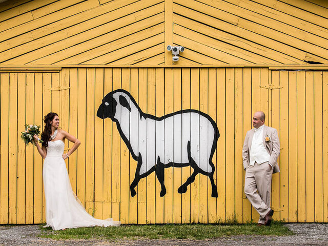 Mariage mouton&nbsp;&nbsp;&nbsp;&copy; F.Brault