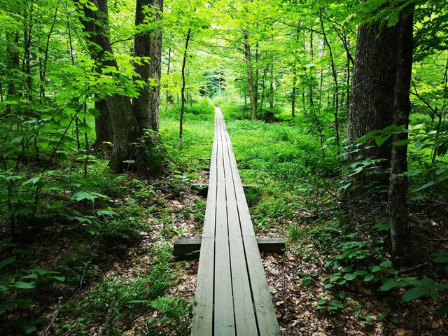 Parc Mont Orford Pont