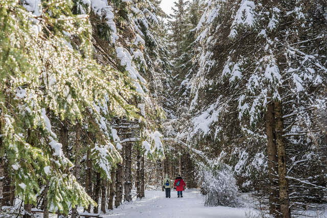 Activités dans les parcs nationaux&nbsp;&nbsp;&nbsp;&copy; N.Choquette