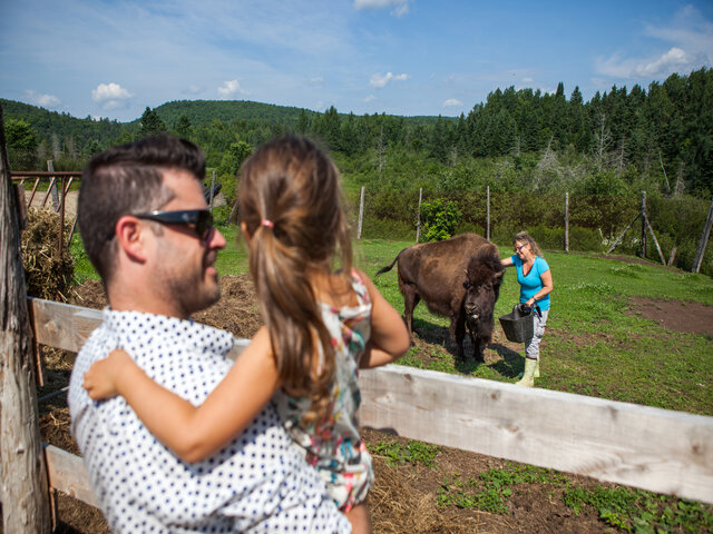 Bonjour Nature à la Terre des Bisons&nbsp;&nbsp;&nbsp;&copy; Terre des Bisons
