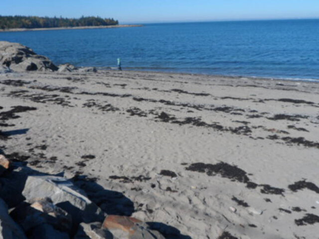 Accès direct à la plage