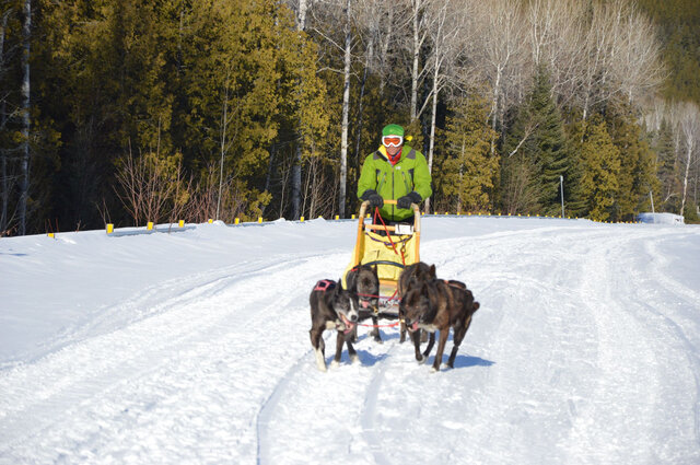 Traîneau à chiens, Charlevoix&nbsp;&nbsp;&nbsp;&copy; Franck Junod