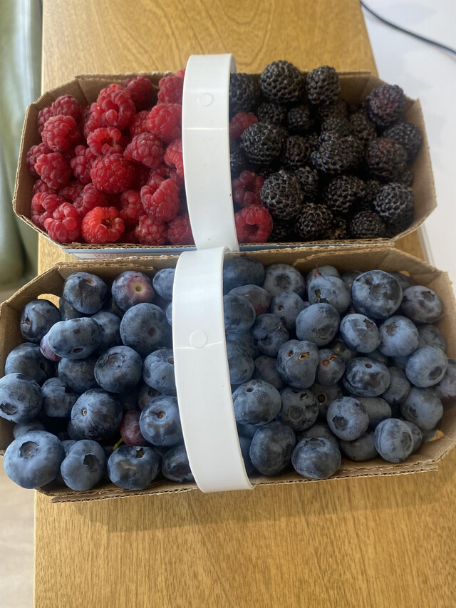 Nos petits Fruits&nbsp;&nbsp;&nbsp;&copy; D.Gendron