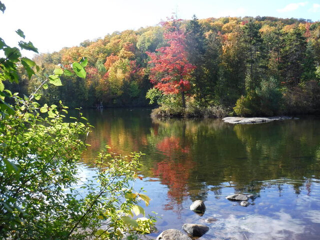 Automne et vue sur l'île