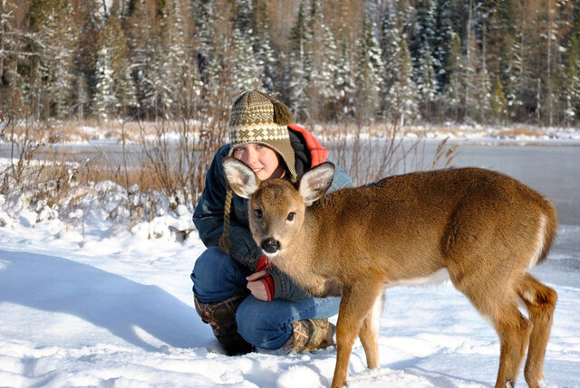Observation de la faune, Outaouais&nbsp;&nbsp;&nbsp;&copy; École internationale d'étude de la terre