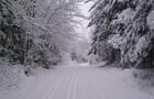Pistes de ski de fond&nbsp;&nbsp;&nbsp;&copy; Plein Air Coaticook