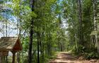 Sentier de randonnée autour du lac © K. Perron
