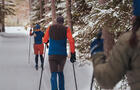 Ski de fond dans la pinèce © Michel Allaire