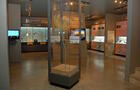 Exposition principale © Fossilarium