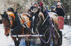 Randonnée en voiture à cheval