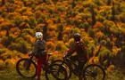 Vélo de montagne automne 2&nbsp;&nbsp;&nbsp;&copy; E.Dionne
