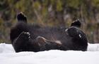 Zoo Ecomuseum&nbsp;&nbsp;&nbsp;&copy; Michel Bourque