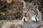 Zoo Ecomuseum&nbsp;&nbsp;&nbsp;&copy; Zoo Ecomuseum