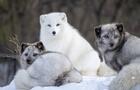 Zoo Ecomuseum&nbsp;&nbsp;&nbsp;&copy; Zoo Ecomuseum