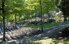 Sous les arbres