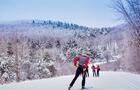 Ski de fond au parc de la Gatineau&nbsp;&nbsp;&nbsp;&copy; Commission de la capitale nationale