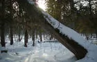 Saison hivernale