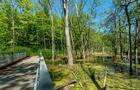 Parc-nature du Bois-de-l'île-Bizard © Yves Kéroack